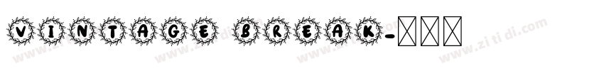 Vintage Break字体转换
